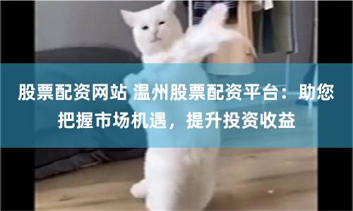 股票配资网站 温州股票配资平台：助您把握市场机遇，提升投资收益
