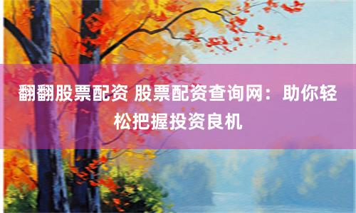 翻翻股票配资 股票配资查询网：助你轻松把握投资良机